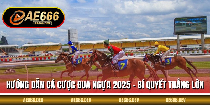 Hướng Dẫn Cá Cược Đua Ngựa 2025 - Bí Quyết Thắng Lớn